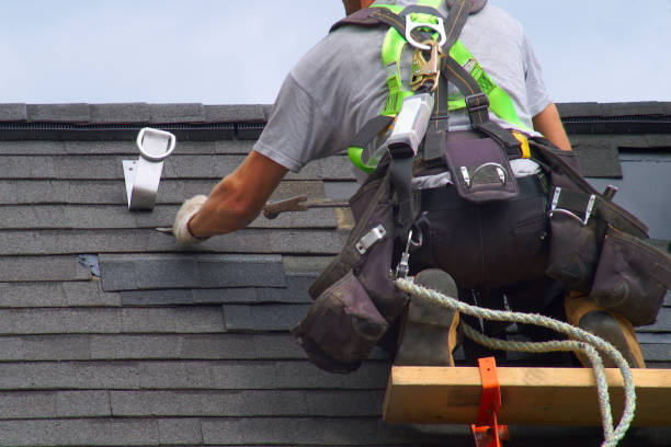 Best Roof Waterproofing Services  in Clarence, IA
