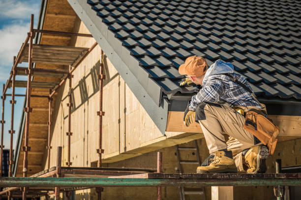 Best Roof Maintenance Services  in Clarence, IA