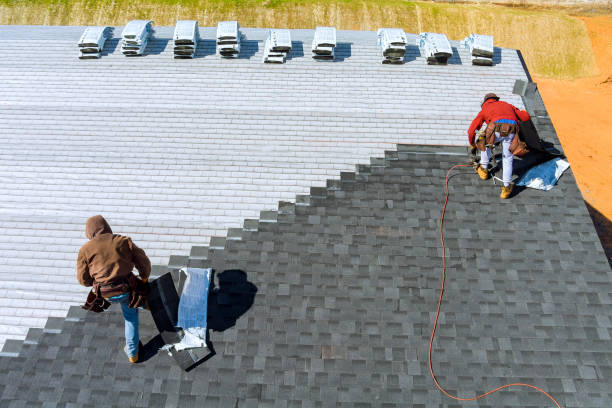 Best Flat Roof Repair Services  in Clarence, IA