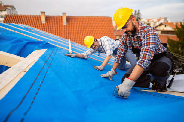 Best Roof Repair Services  in Clarence, IA