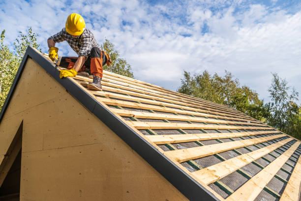 Sealant for Roof in Clarence, IA