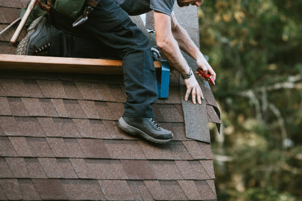 Best Storm Damage Roof Repair  in Clarence, IA