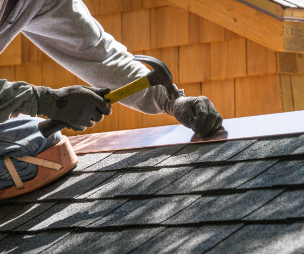 Best Local Roofing Companies  in Clarence, IA